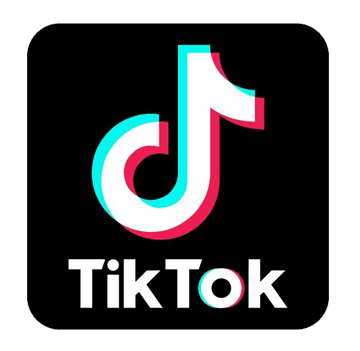 TikTok Follower